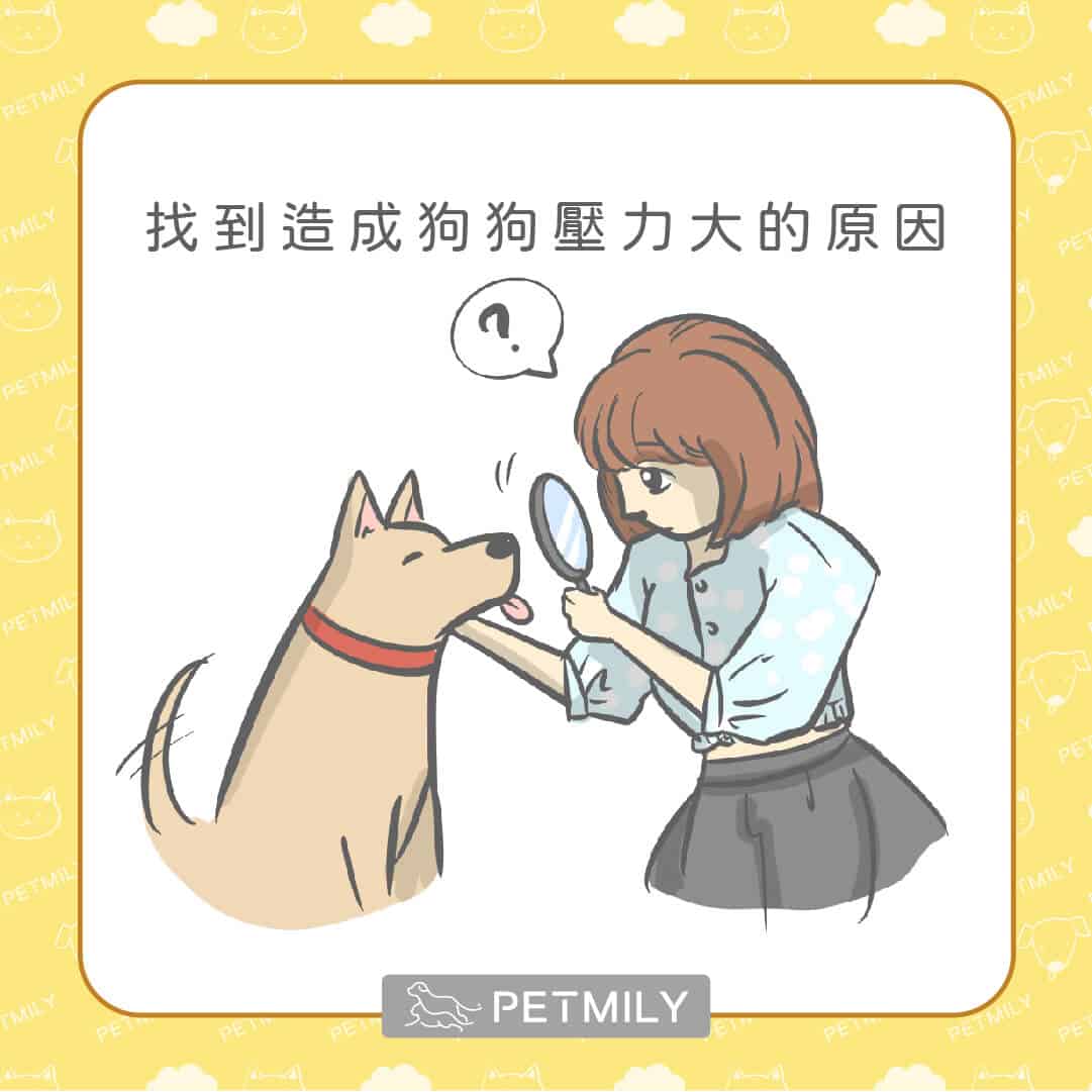 狗狗一直舔腳怎麼辦？用6招一次處理狗狗的心理性舔腳手問題！
