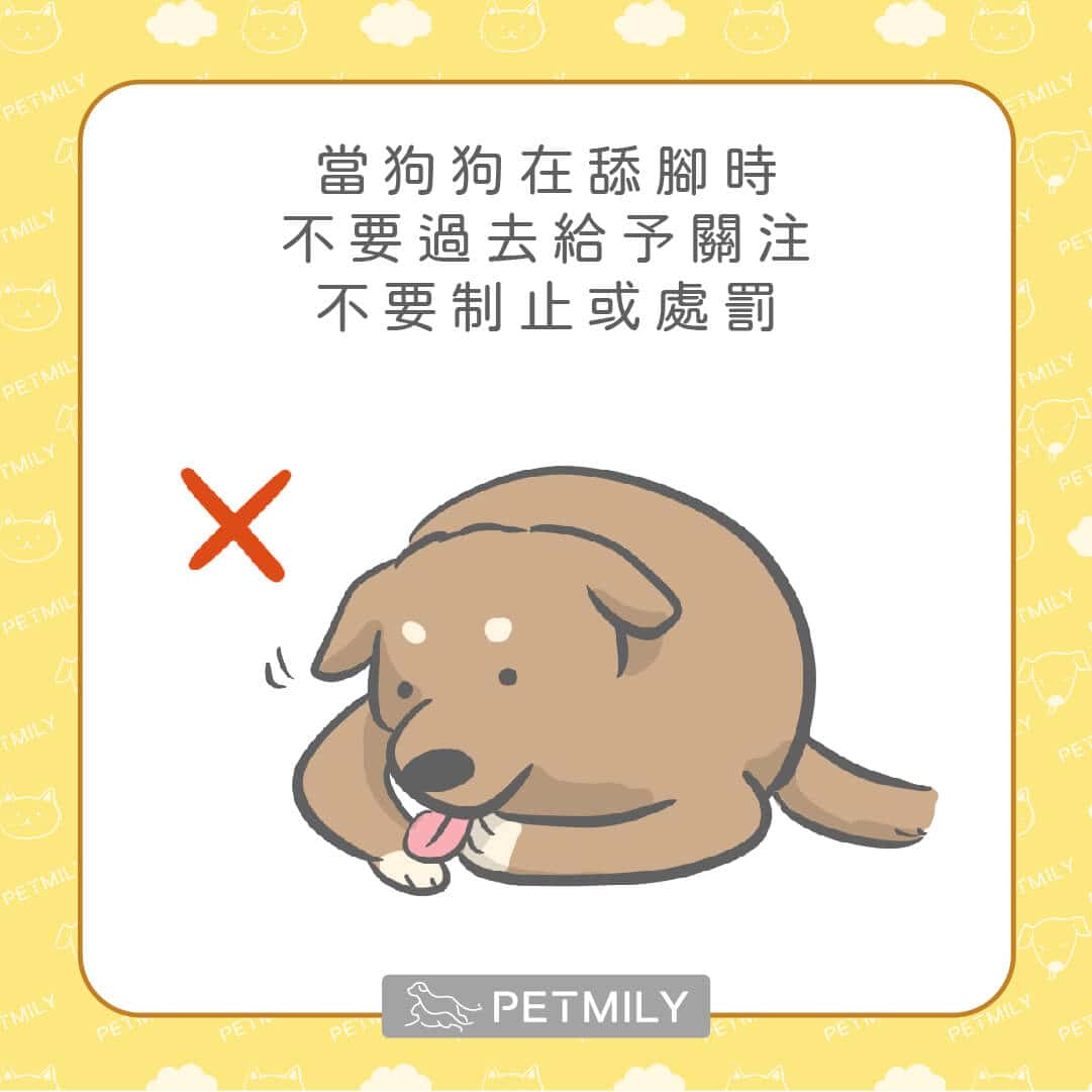 狗狗一直舔腳怎麼辦？用6招一次處理狗狗的心理性舔腳手問題！