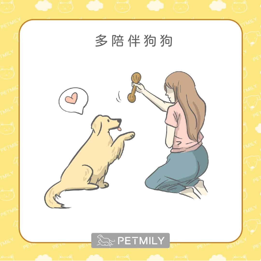 狗狗一直舔腳怎麼辦？用6招一次處理狗狗的心理性舔腳手問題！