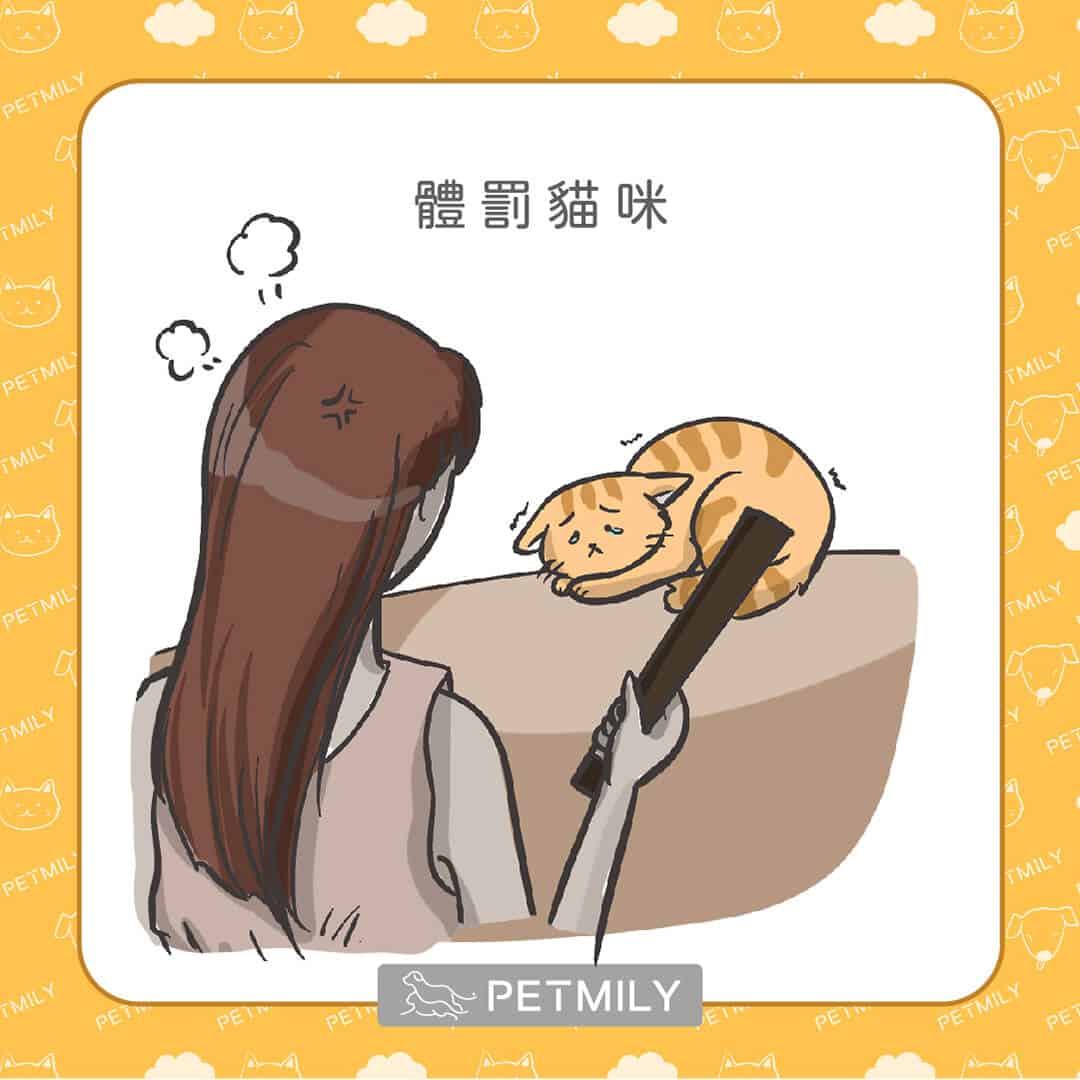 讓喵星人壓力大的10件事