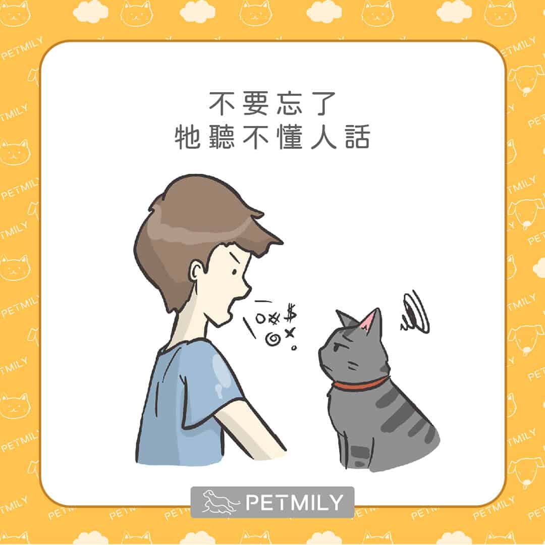 讓喵星人壓力大的10件事
