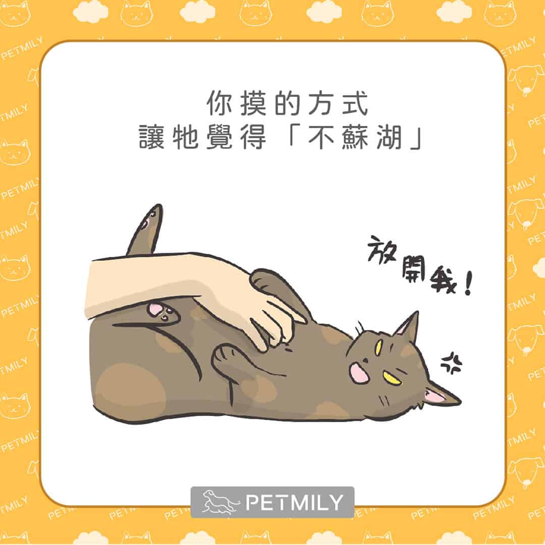 讓喵星人壓力大的10件事