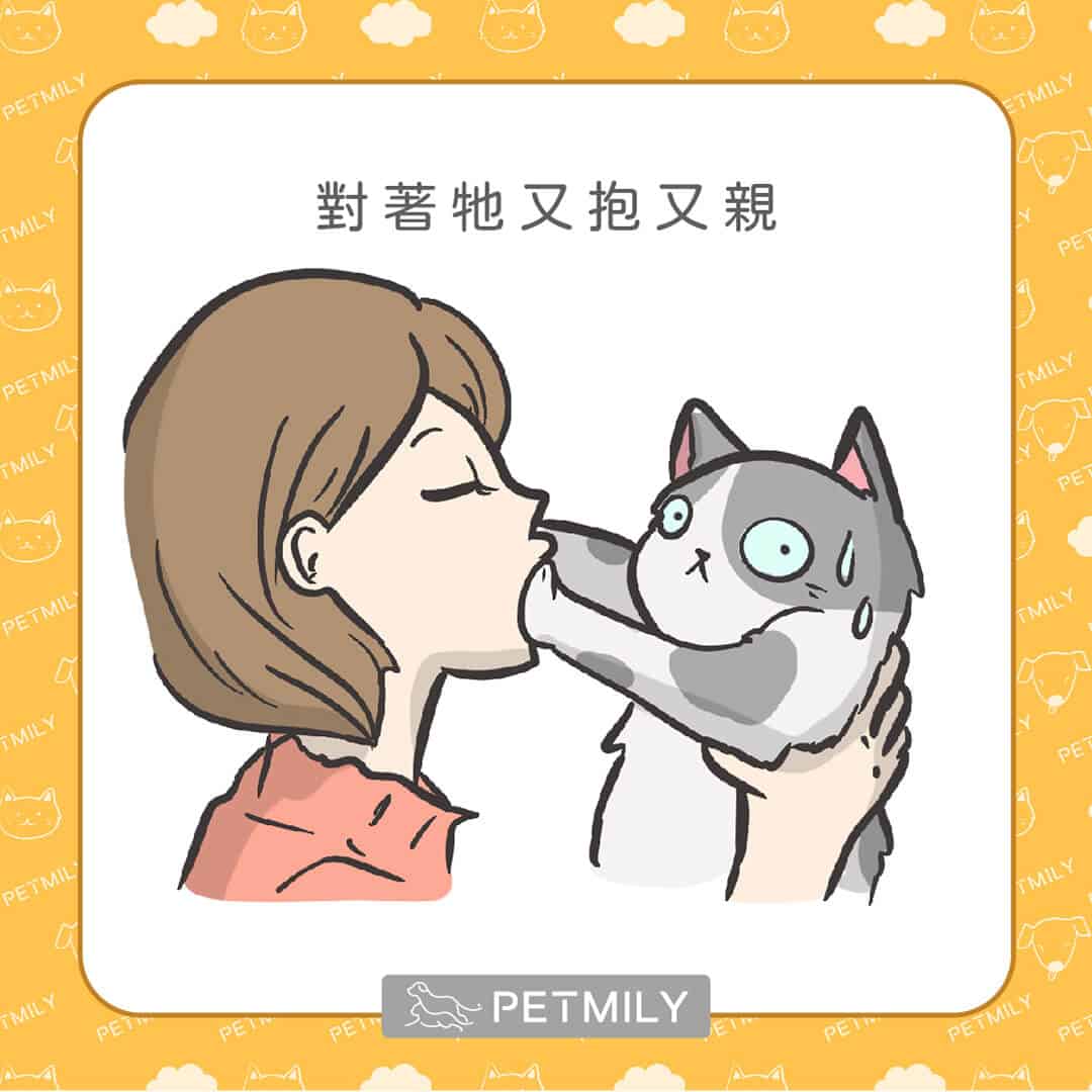 讓喵星人壓力大的10件事