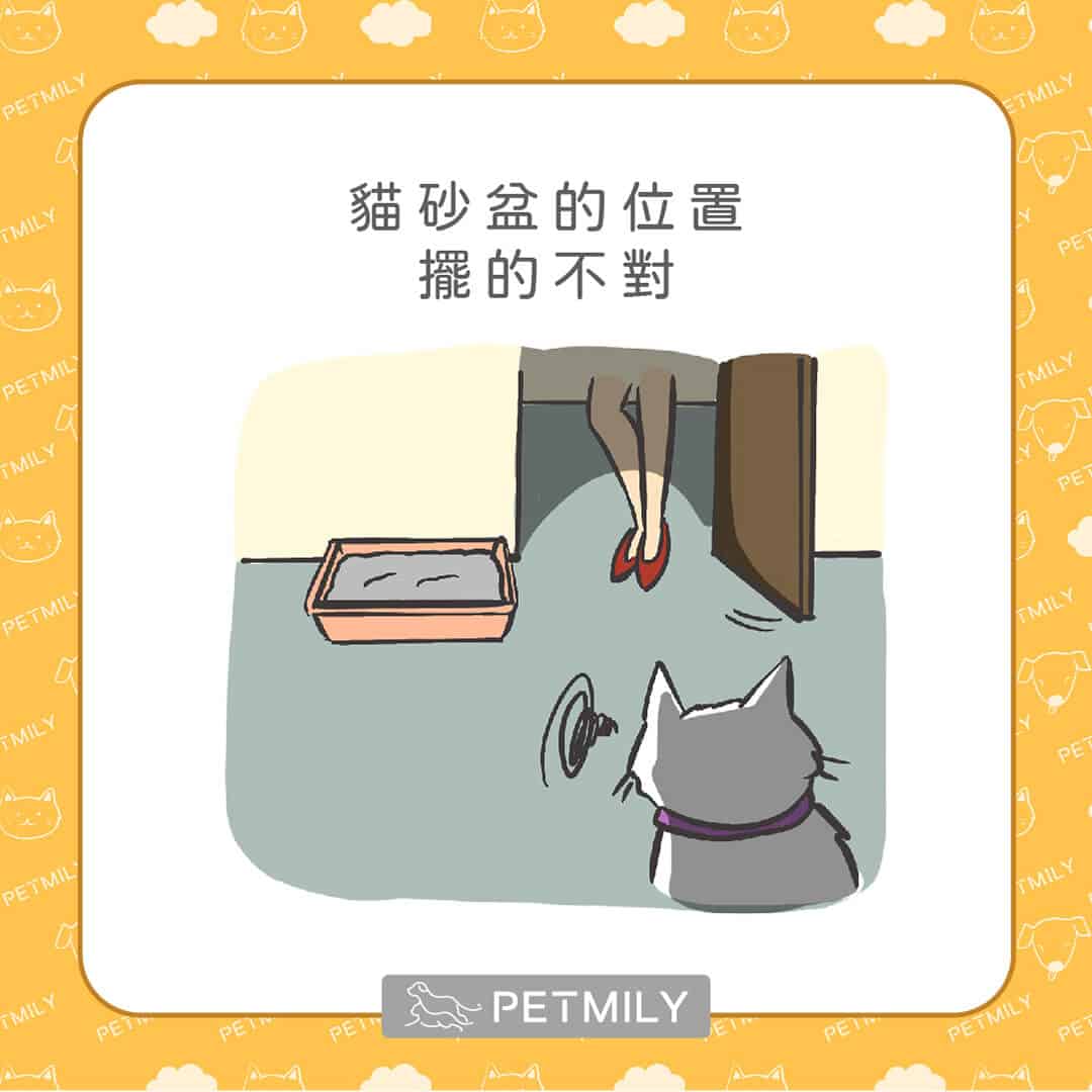 讓喵星人壓力大的10件事