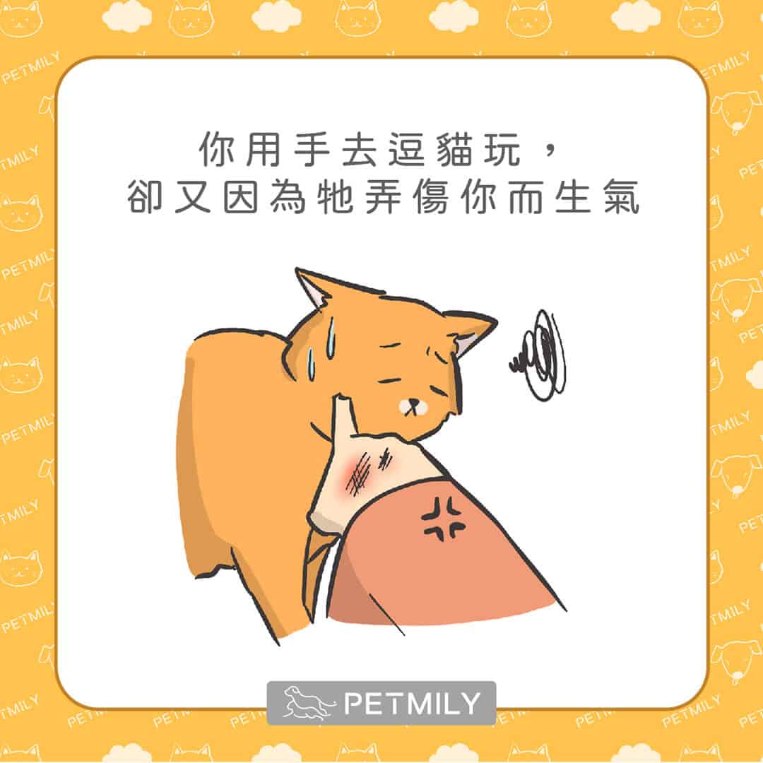 讓喵星人壓力大的10件事