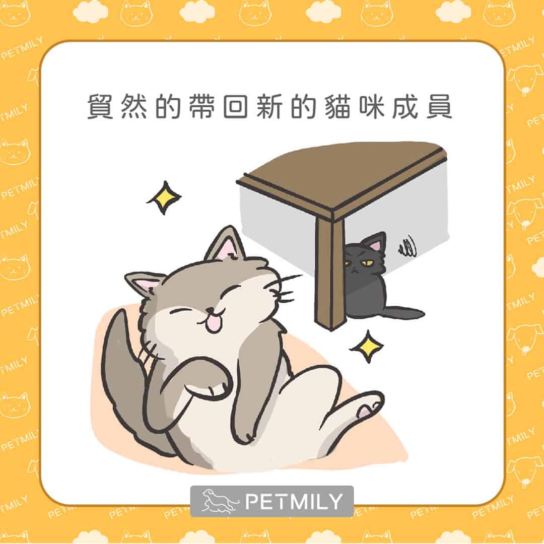 讓喵星人壓力大的10件事