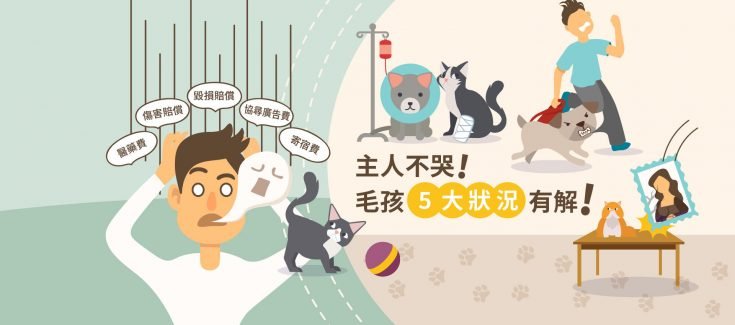 養毛孩遇到的5大麻煩事，升級版寵物險都有解！