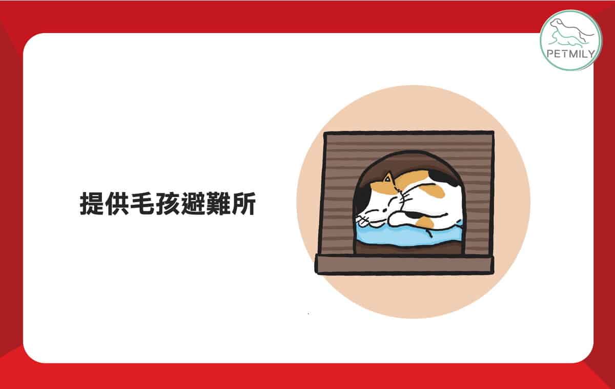 過年踩春好熱鬧！毛孩的3大壓力該怎麼紓解？