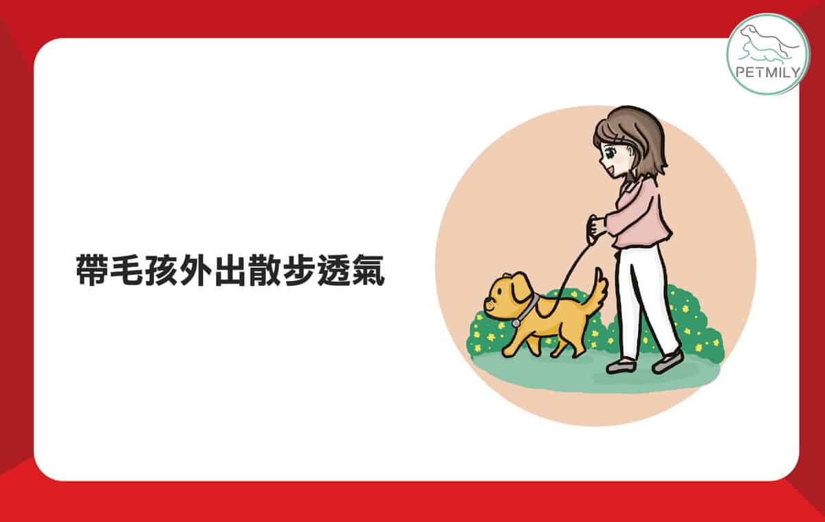 過年踩春好熱鬧！毛孩的3大壓力該怎麼紓解？