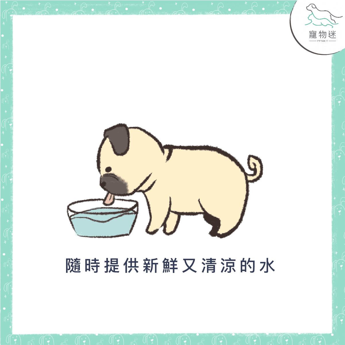 別讓狗中暑～夏季狗狗消暑的4大重點！