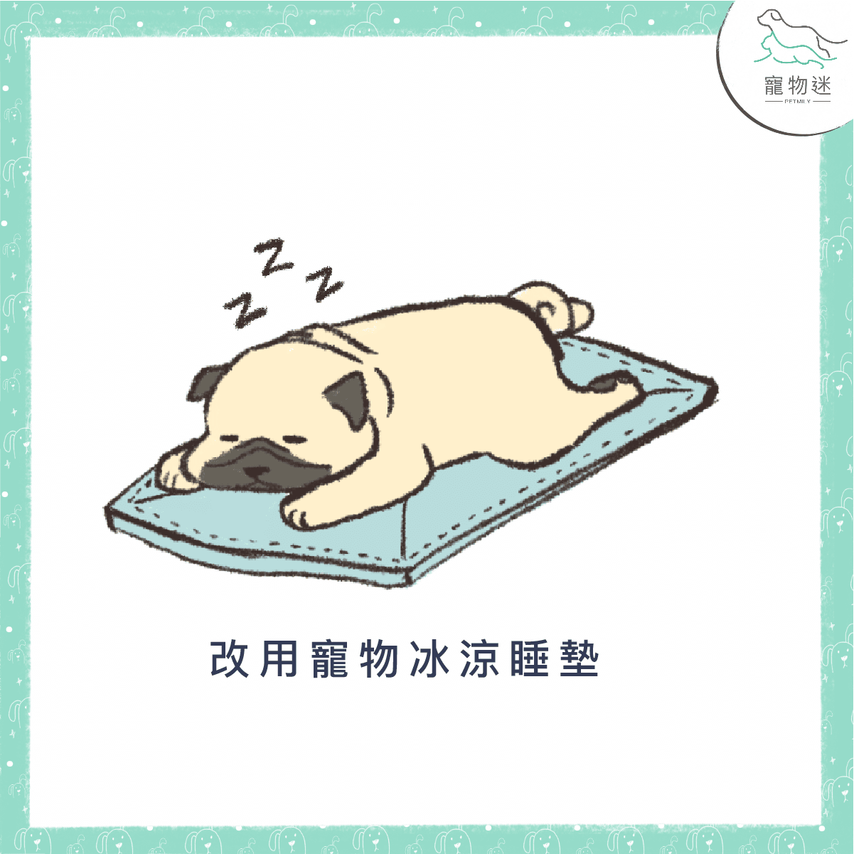 別讓狗中暑～夏季狗狗消暑的4大重點！