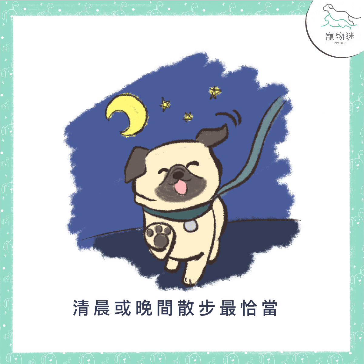 別讓狗中暑～夏季狗狗消暑的4大重點！