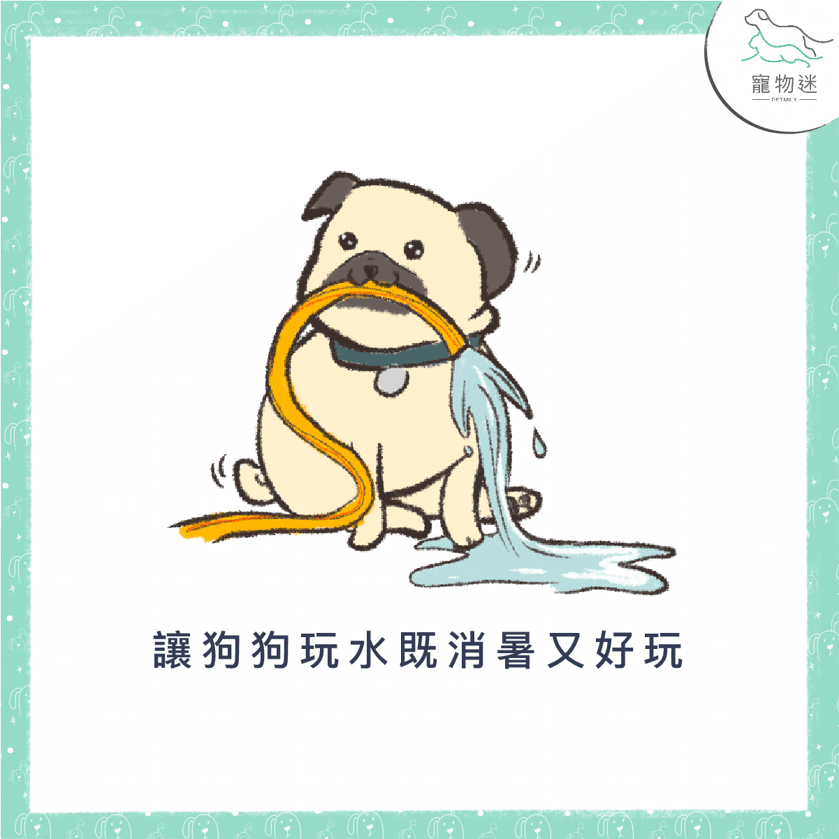 別讓狗中暑～夏季狗狗消暑的4大重點！