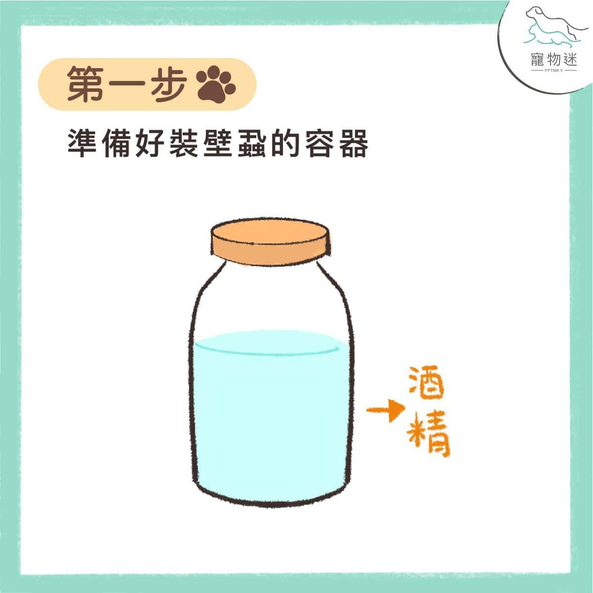 七個步驟，教你拔除狗貓身上壁蝨