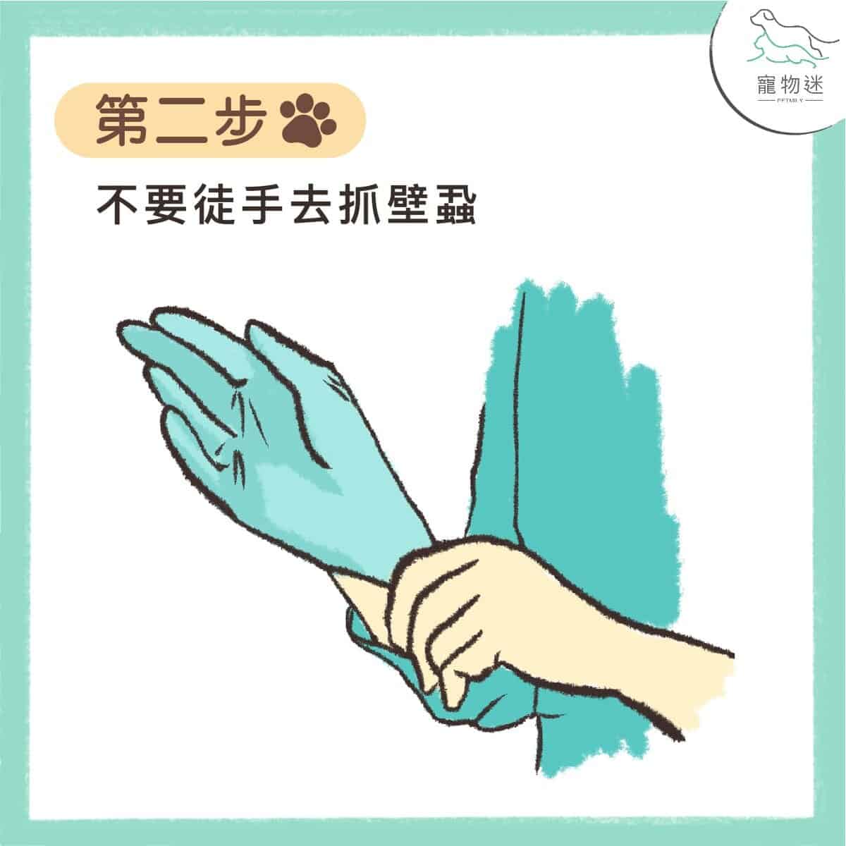 七個步驟，教你拔除狗貓身上壁蝨