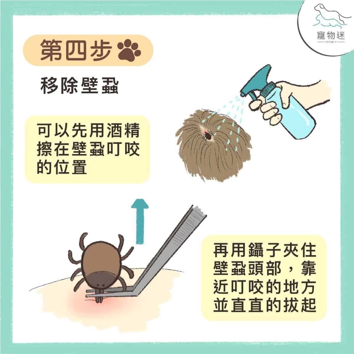 七個步驟，教你拔除狗貓身上壁蝨