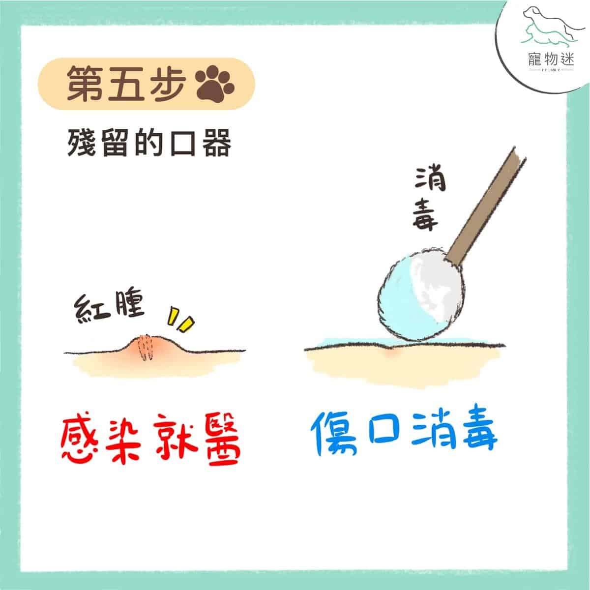 七個步驟，教你拔除狗貓身上壁蝨