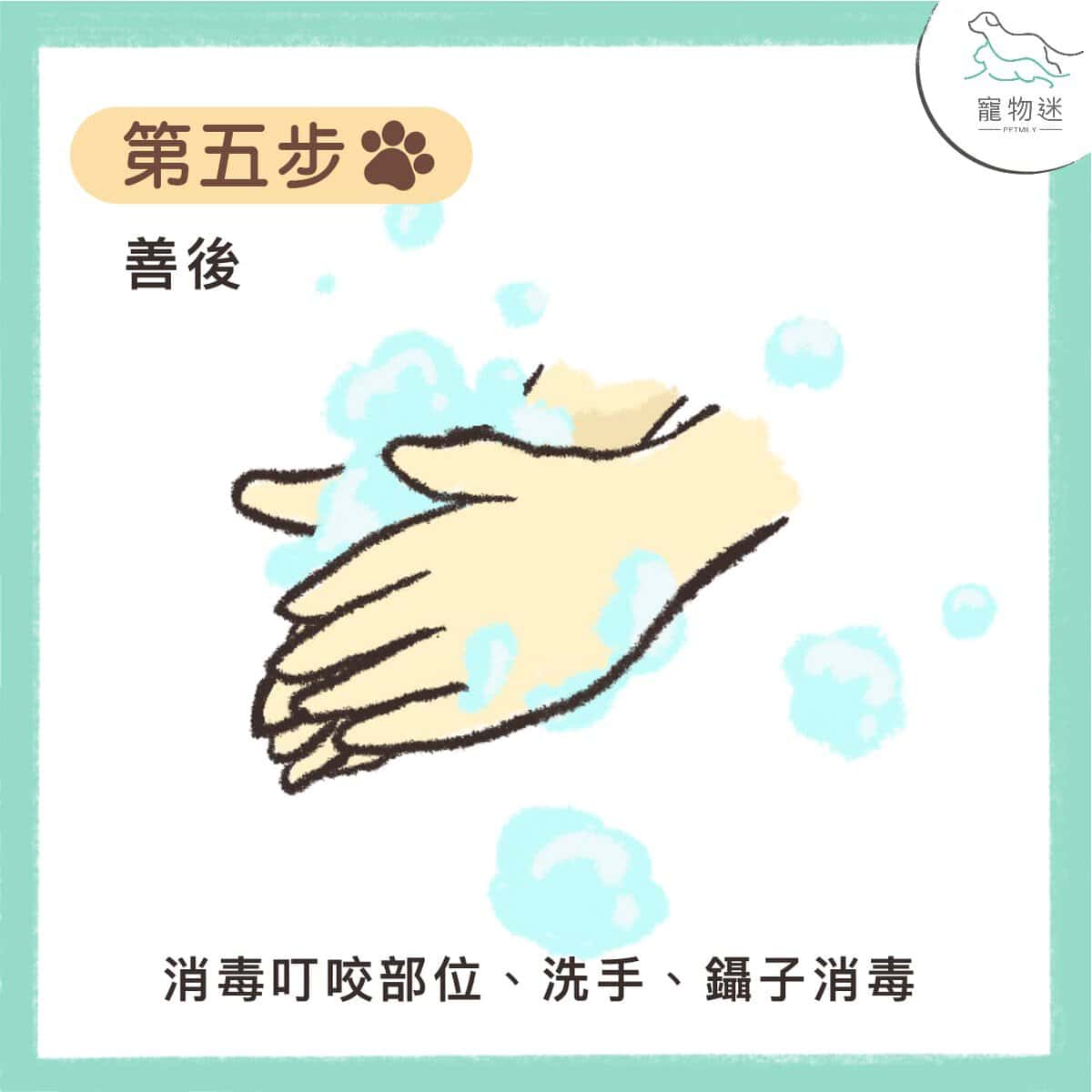 七個步驟，教你拔除狗貓身上壁蝨