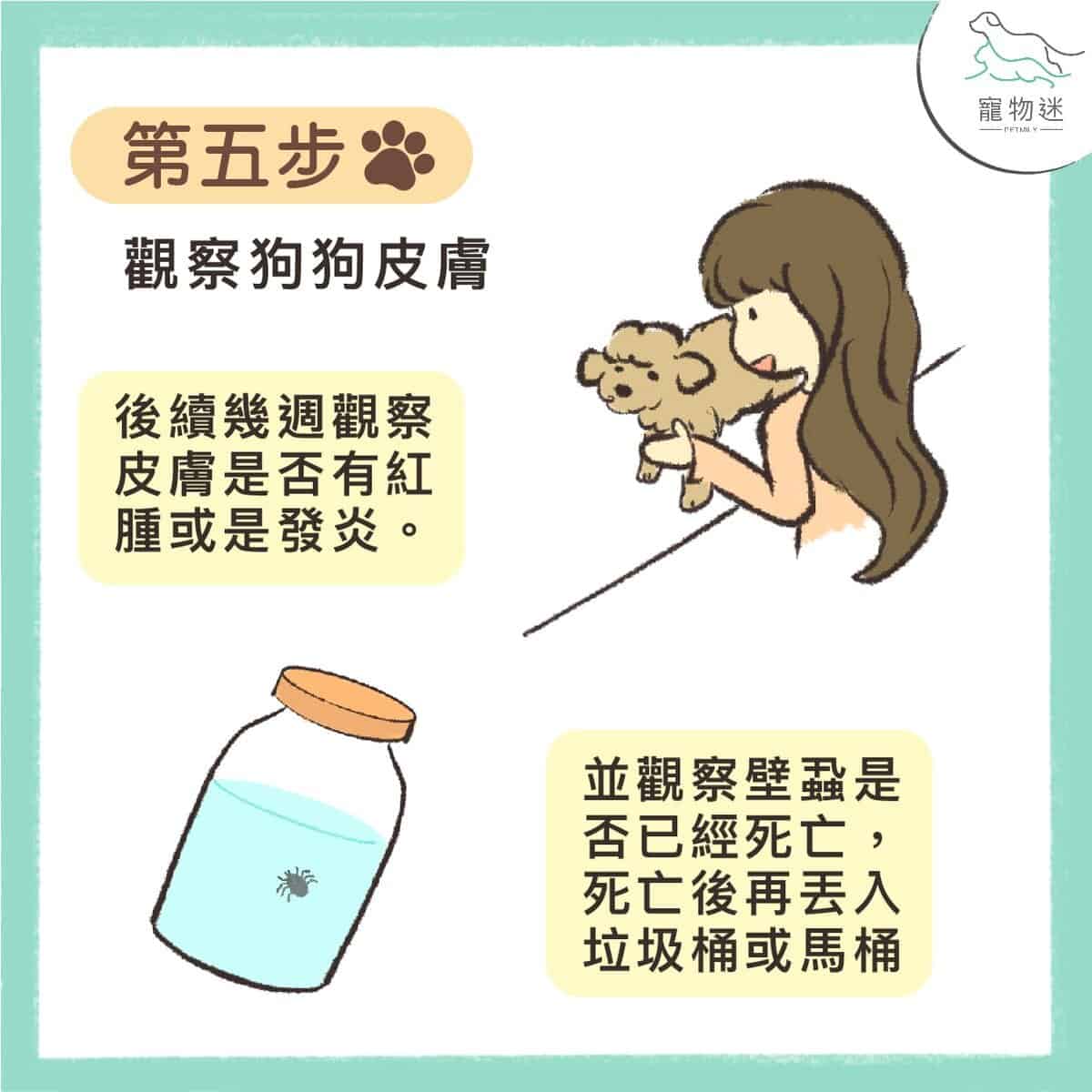 七個步驟，教你拔除狗貓身上壁蝨