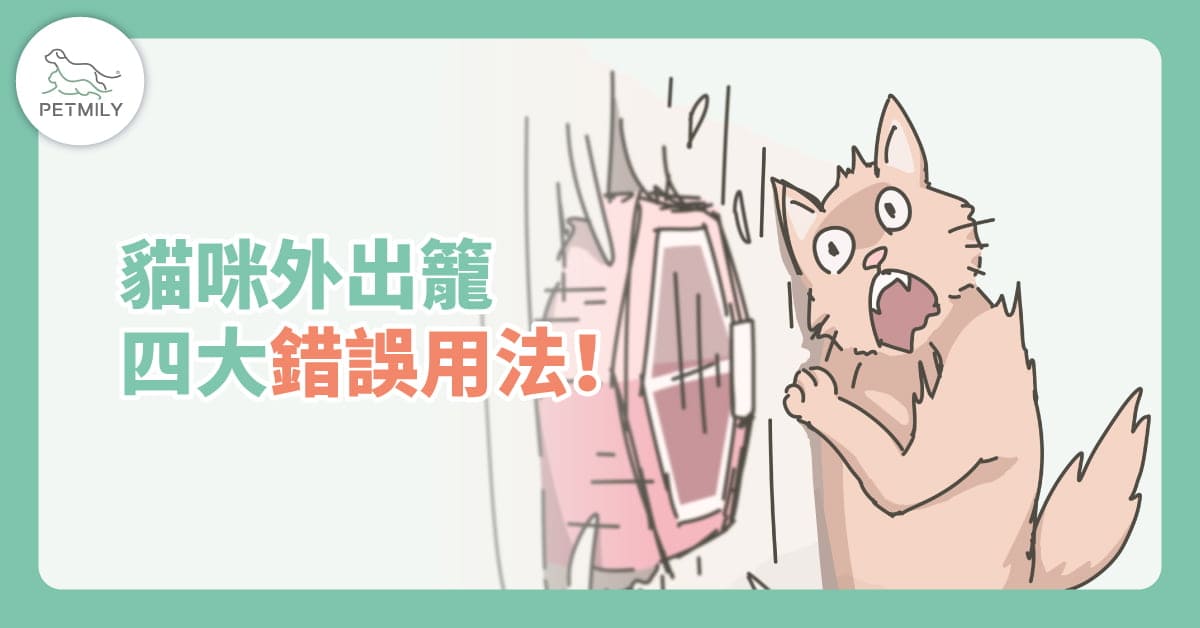 貓咪外出籠4大錯誤用法