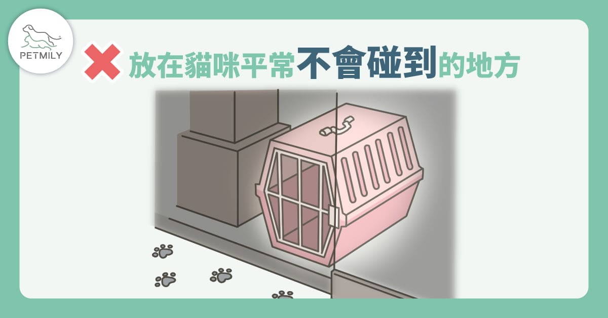 貓咪外出籠4大錯誤用法