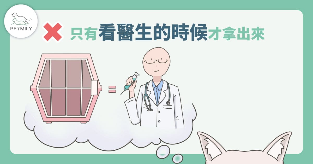 貓咪外出籠4大錯誤用法