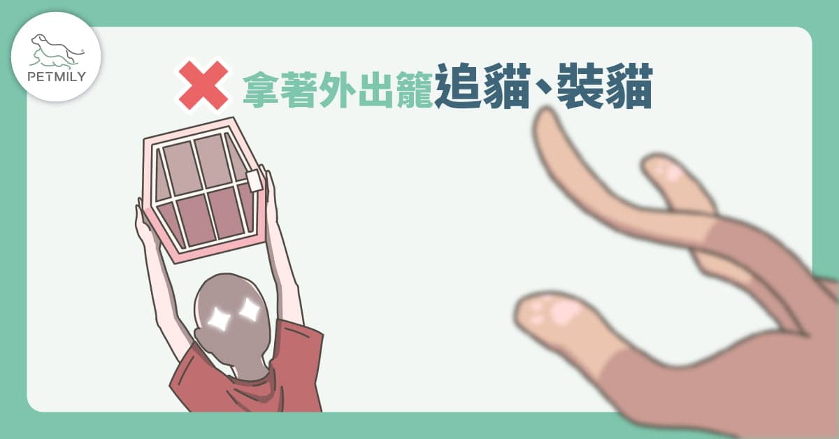 貓咪外出籠4大錯誤用法
