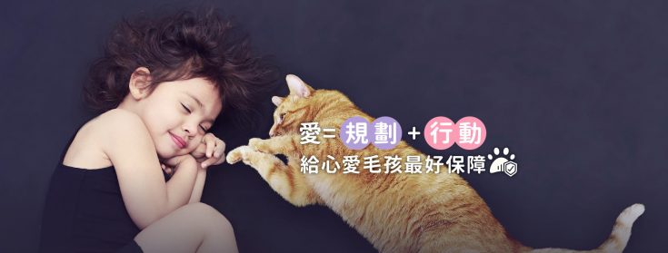 寵愛毛孩No.1～為汪喵買寵物險，水象3大星座絕不手軟！