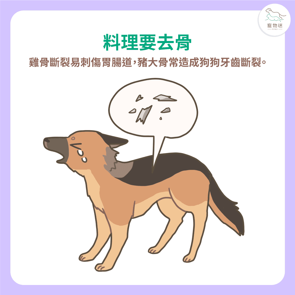 寵物年菜 請掌握6大原則！