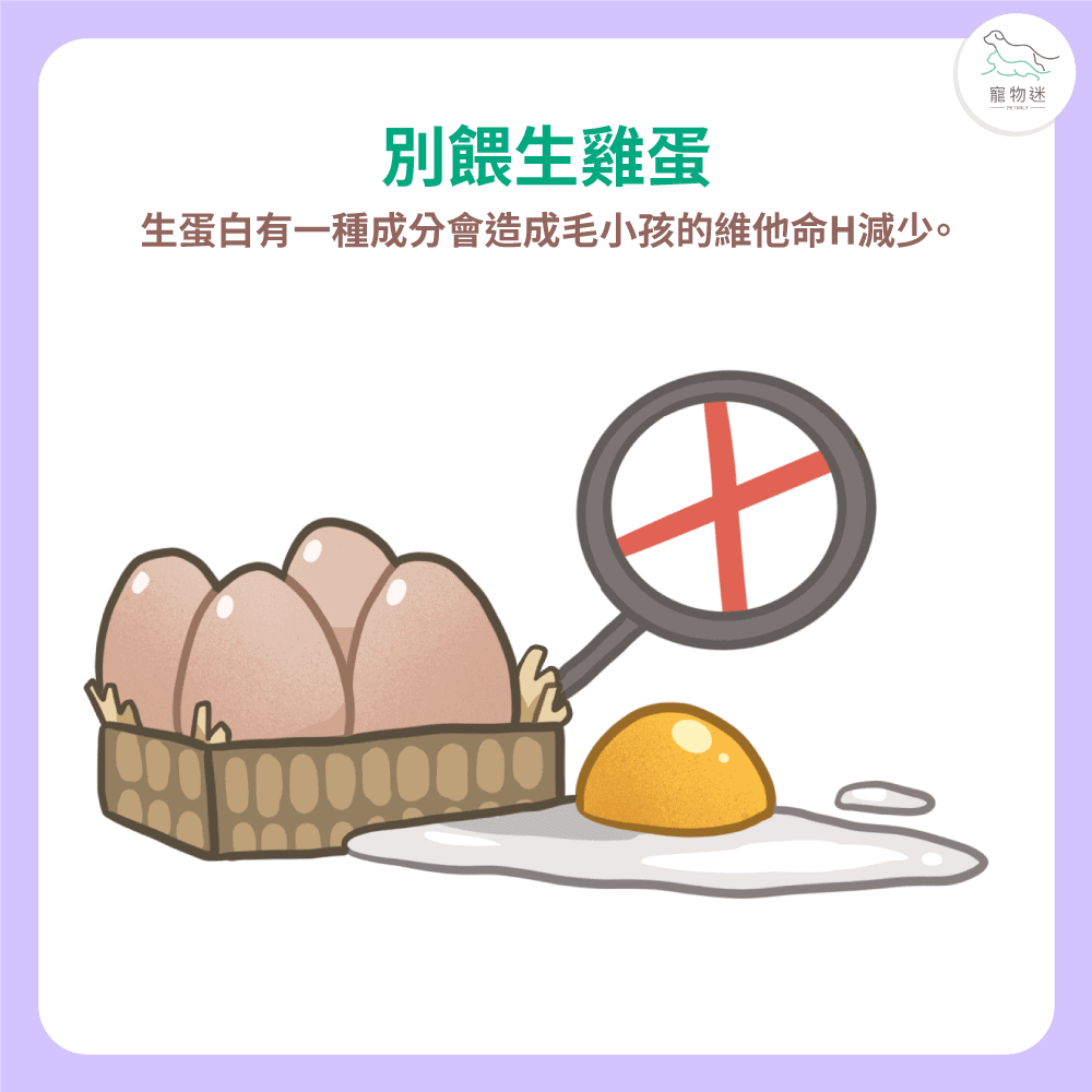寵物年菜 請掌握6大原則！