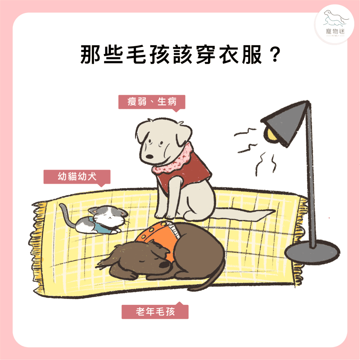 冬天幫毛孩穿衣服好嗎？3大重點讓你兼顧保暖與健康！