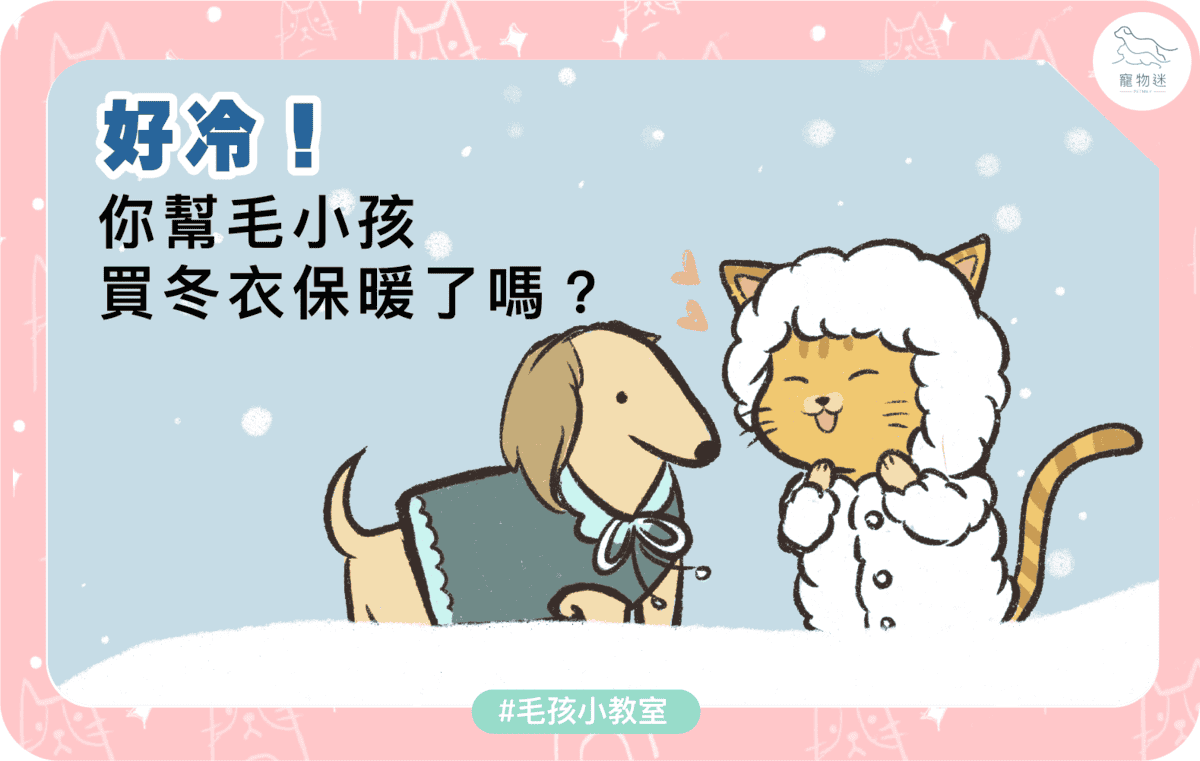 冬天幫毛孩穿衣服好嗎？3大重點讓你兼顧保暖與健康！