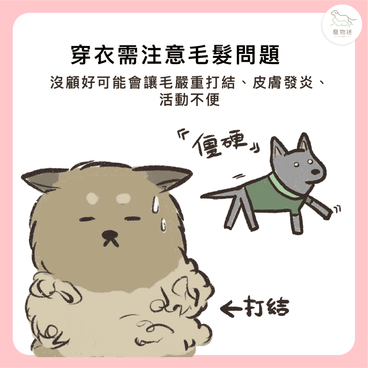 冬天幫毛孩穿衣服好嗎？3大重點讓你兼顧保暖與健康！