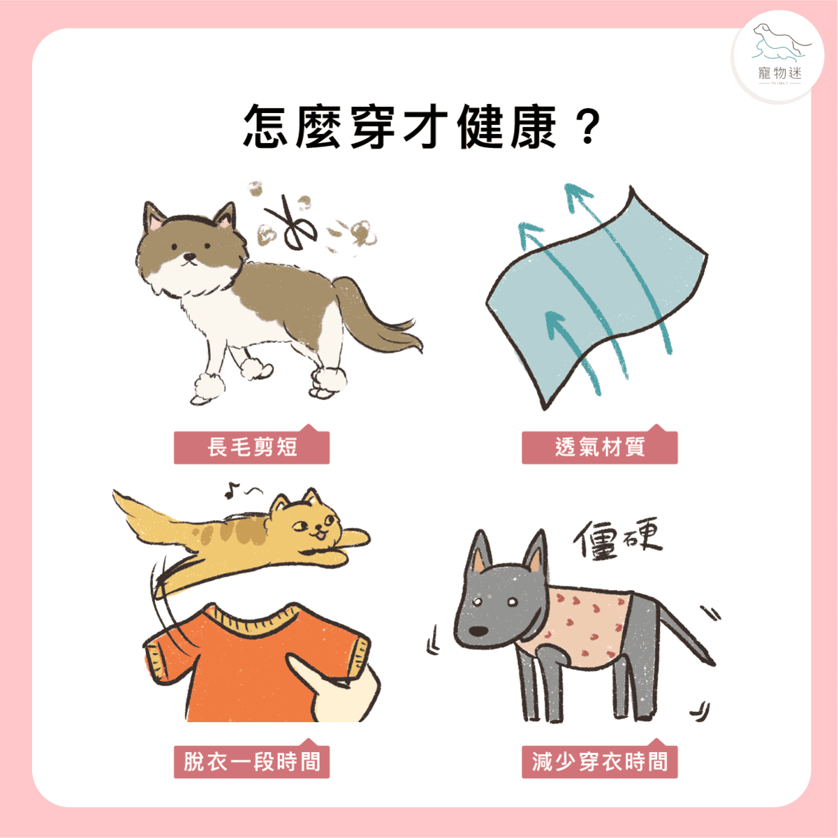 冬天幫毛孩穿衣服好嗎？3大重點讓你兼顧保暖與健康！