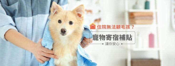 毛爸媽注意！住院怎麼辦？寵物寄宿補貼3大重點解析～