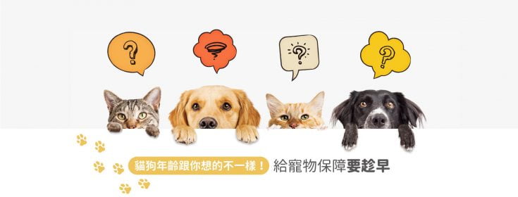 貓狗年齡對照表＋寵物保險3大重點，飼主一定要知道！