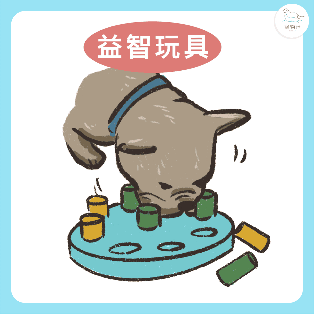 居家老狗照顧，４種遊戲讓牠保持年輕活力！