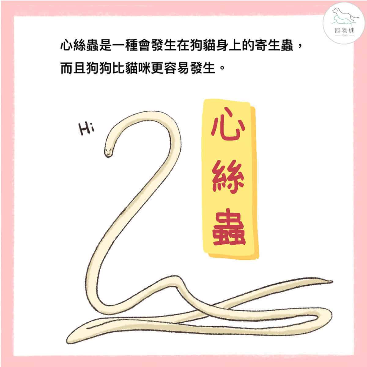 春夏心絲蟲防護指南：狗貓爸媽必學的 5 大守則
