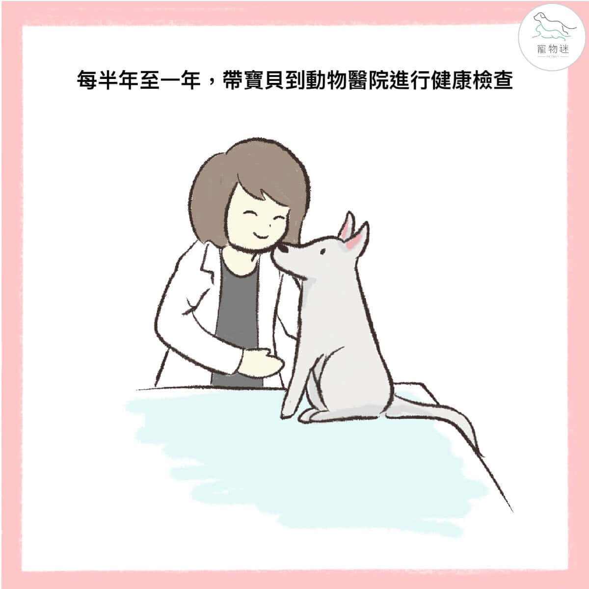 春夏心絲蟲防護指南：狗貓爸媽必學的 5 大守則