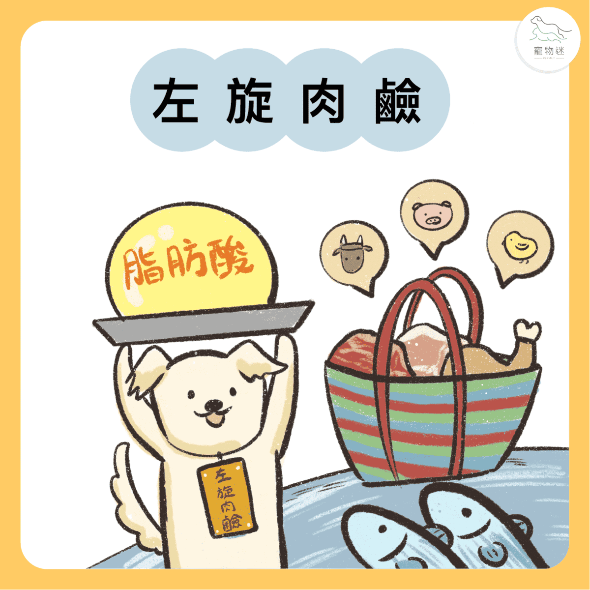 貓狗心臟病吃這4種特殊營養素就對了