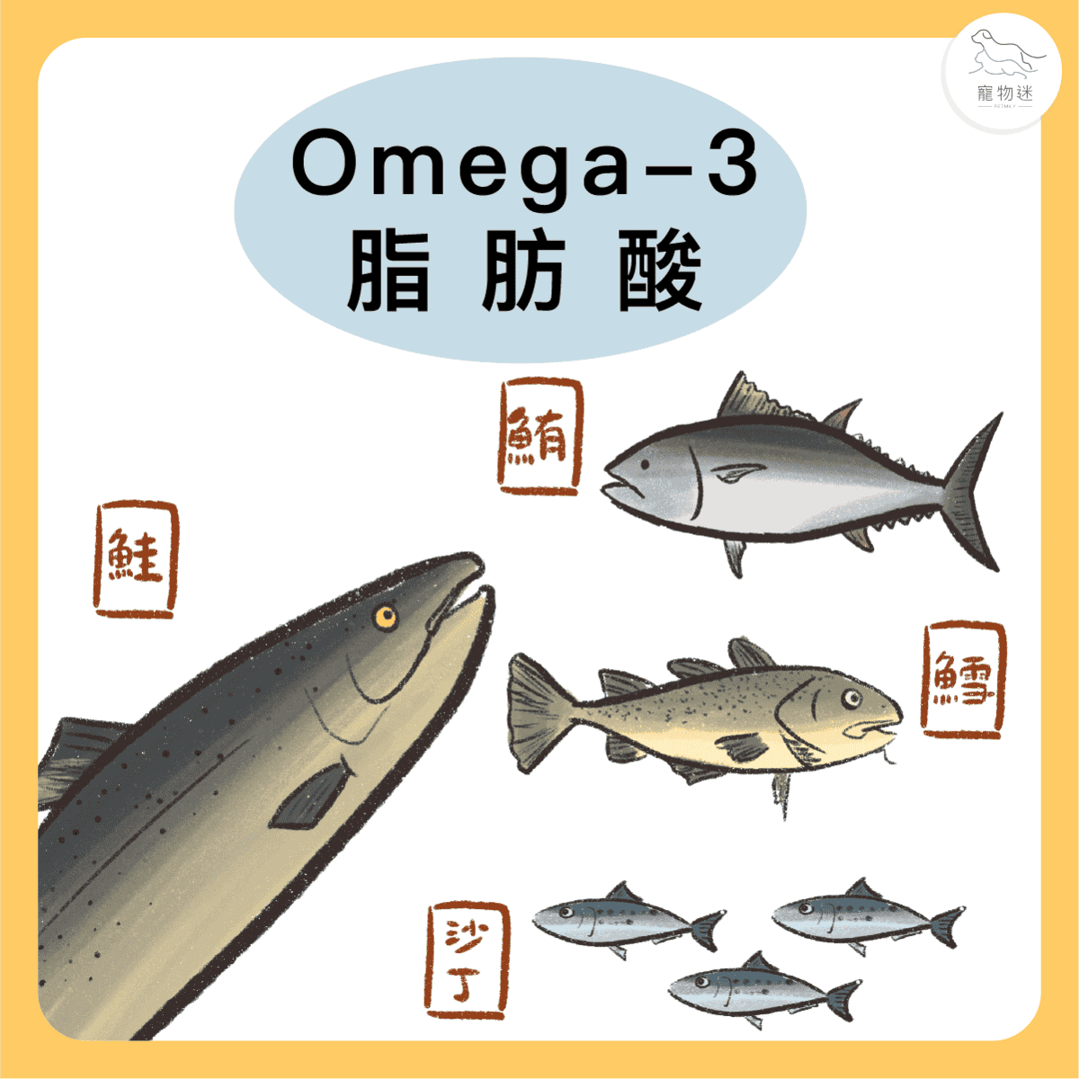 貓狗心臟病吃這4種特殊營養素就對了