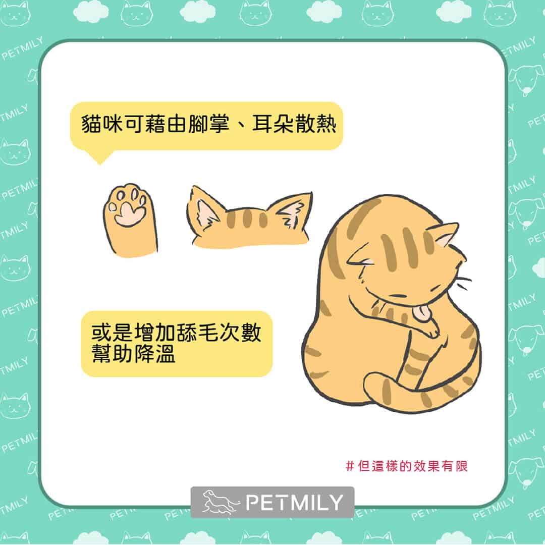 炎炎夏日，必學這11招預防貓中暑 ！