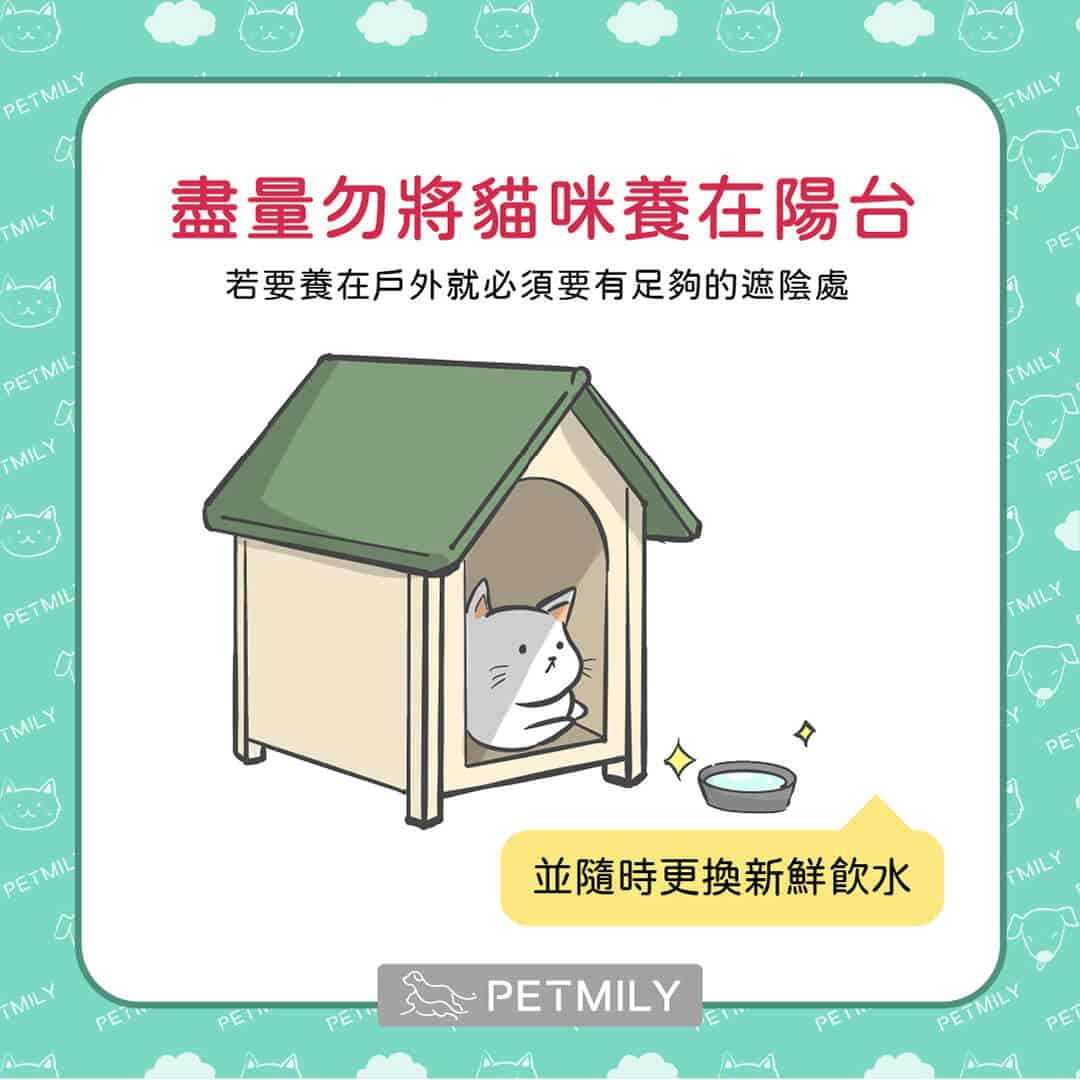 炎炎夏日，必學這11招預防貓中暑 ！