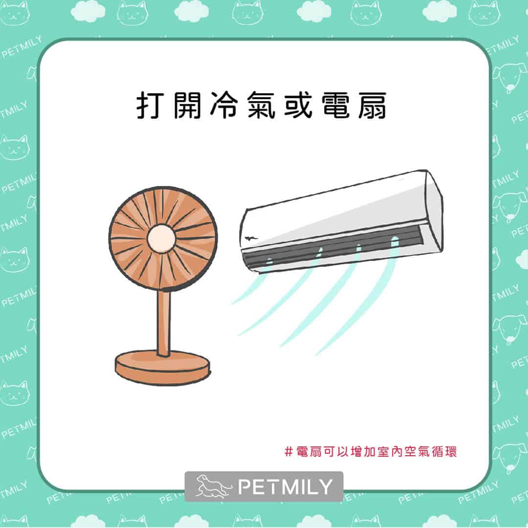 炎炎夏日，必學這11招預防貓中暑 ！