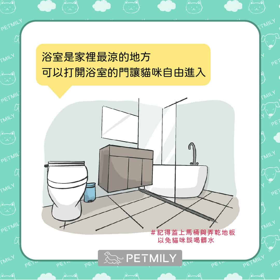 炎炎夏日，必學這11招預防貓中暑 ！