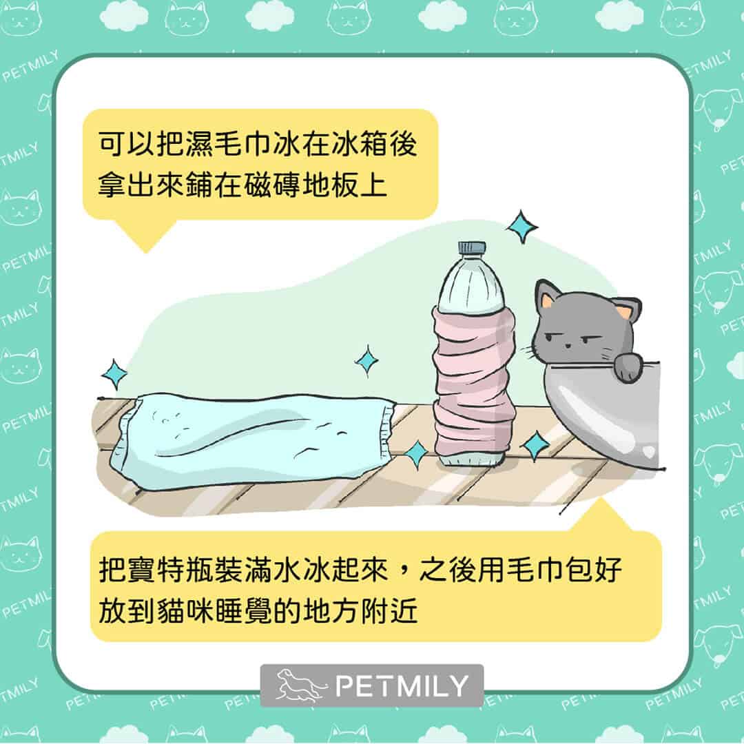 炎炎夏日，必學這11招預防貓中暑 ！