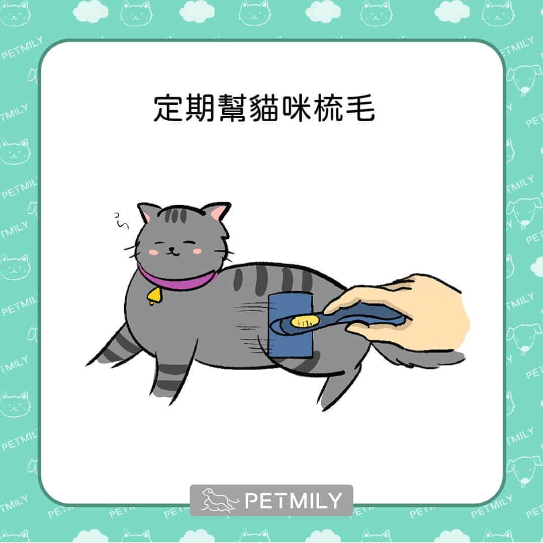 炎炎夏日，必學這11招預防貓中暑 ！