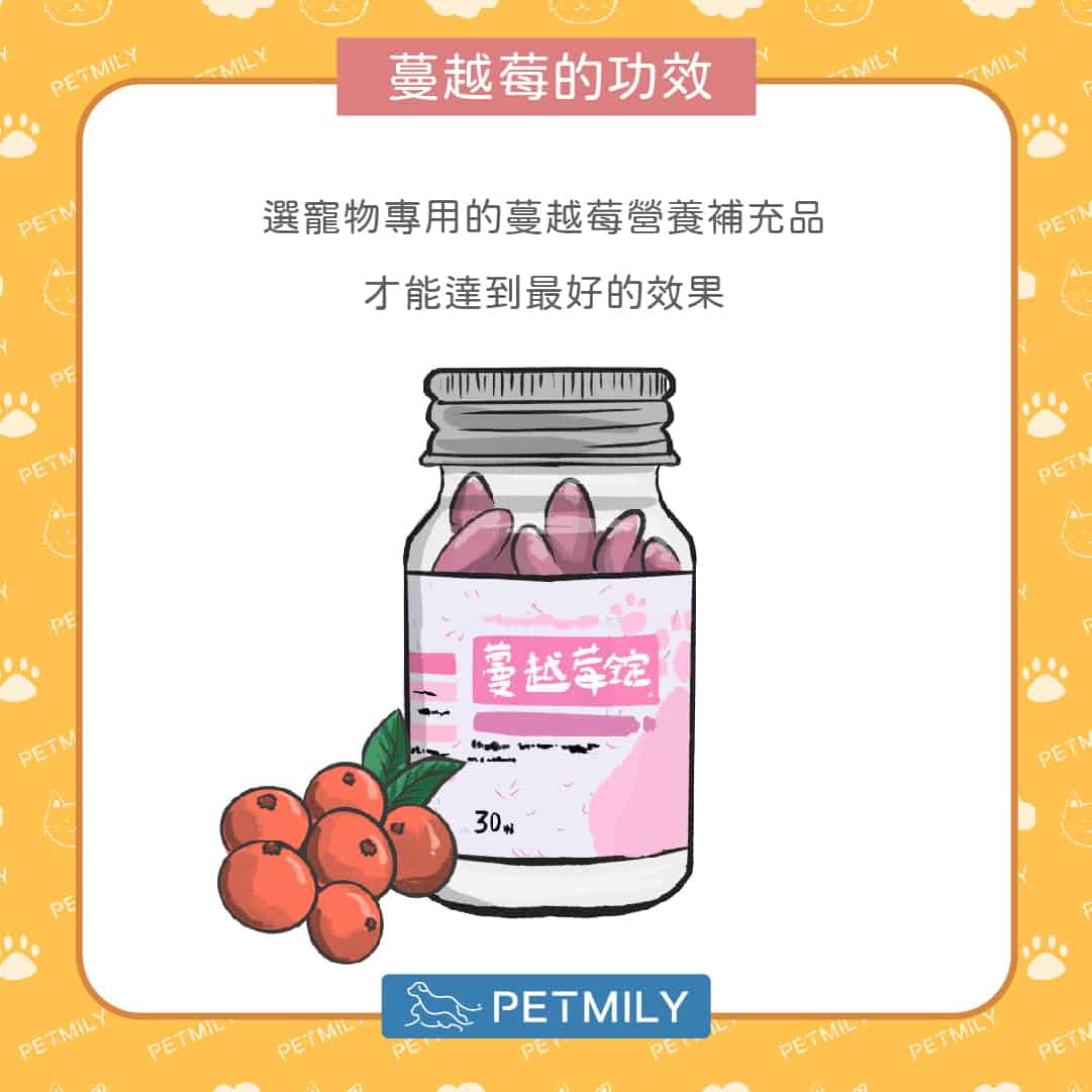 狗狗愛憋尿怎麼辦？蔓越莓保健3招守護泌尿道健康！