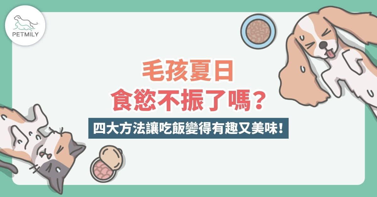 毛孩夏日食慾不振了嗎？快用4大方法讓吃飯變得有趣又美味