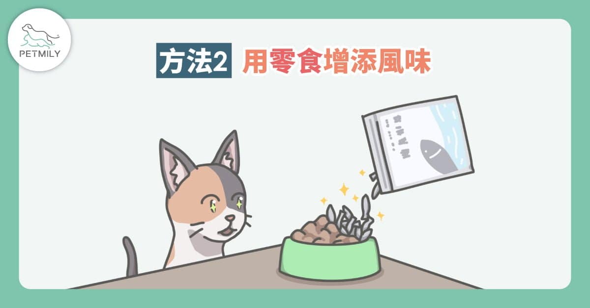 毛孩夏日食慾不振了嗎？快用4大方法讓吃飯變得有趣又美味